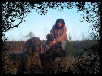 /album/fotogalerie-unsere-blauen-edeldoggen1/photofancy-216491-mid-jpg2/