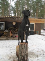 /album/fotogalerie-nachzucht/summerdenkmal-jpg/